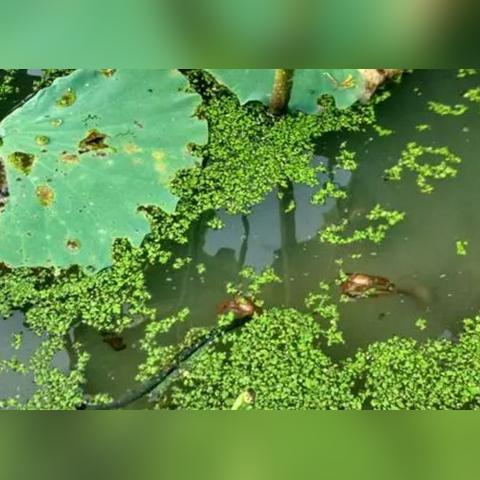 桂林市龙虾店有哪些