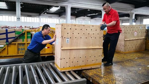 【大连航班动态
/大连航班动态查询实时】-图1 【大连航班动态
/大连航班动态查询实时】-图1