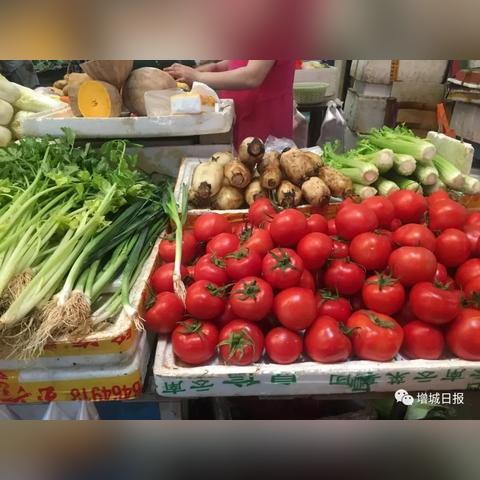 增城天气预报详情的长尾关键词有什么