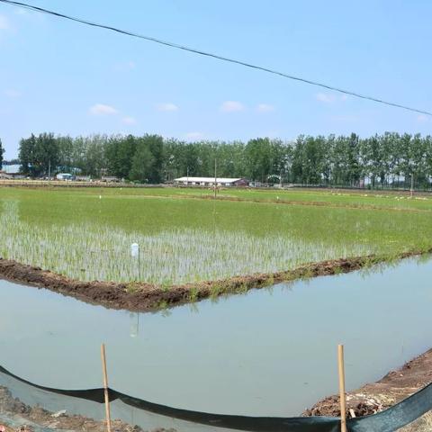 山东临沂市市长历届的长尾关键词有什么