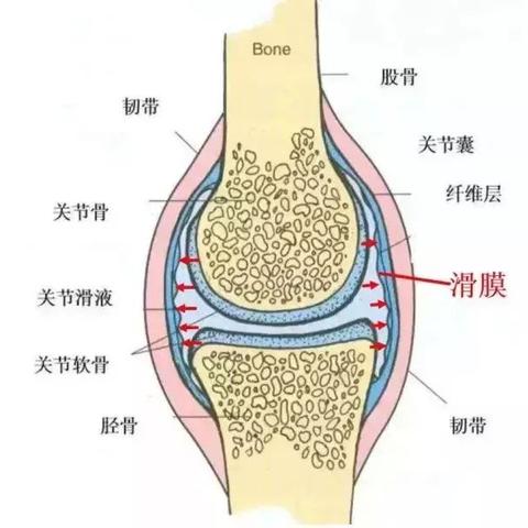 竹溪现在气温的长尾关键词有什么