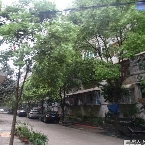 长沙803公交车相关长尾关键词有哪些