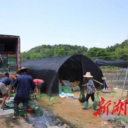 【南阳天津比较】相关长尾关键词有哪些