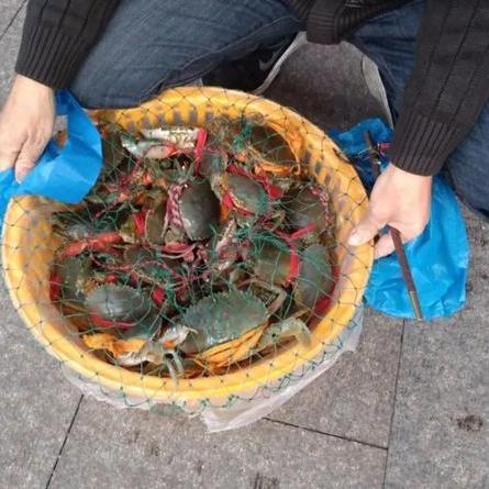 温州市哪里有早市摊子