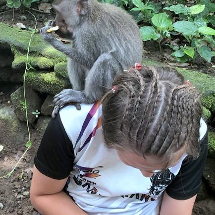 ai人工智能设计地理课程的相关长尾关键词有哪些