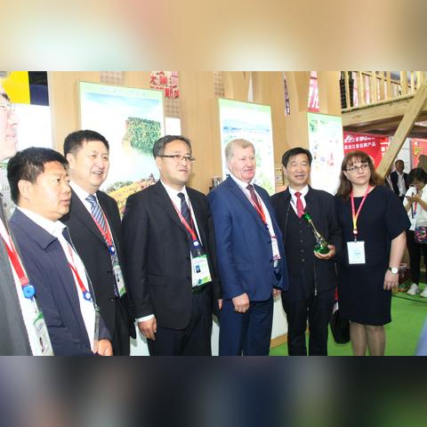 跨境展览多少钱