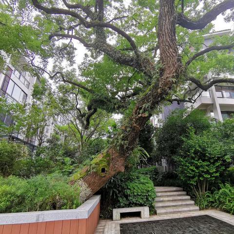 桂林十大高档小区排名？