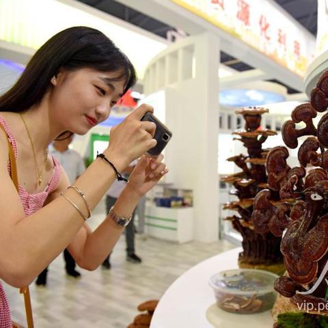 合肥市的农业公司有哪些