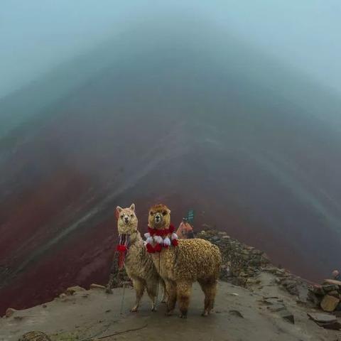 重庆地理怎么样