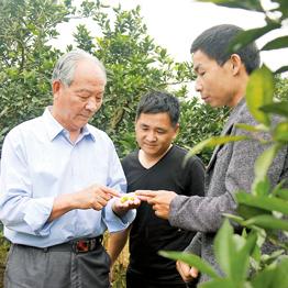 赣州市龙头橙园在哪里