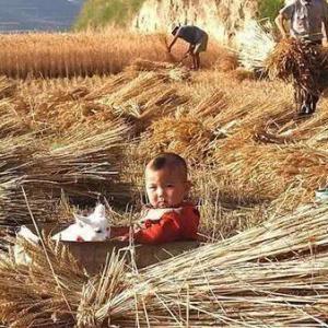 为什么济南泉多相关长尾关键词有哪些