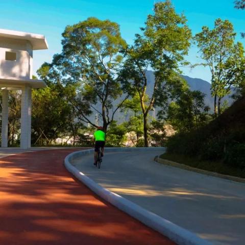 罗湖区和深圳市哪个好点