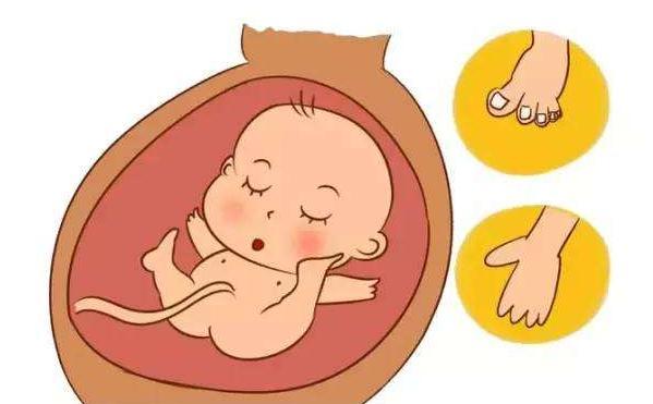 孕期可以造就胎儿的性格吗