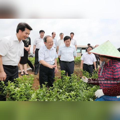 玉林博白到南宁大巴的相关长尾关键词有哪些