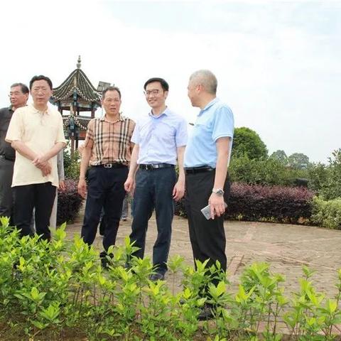 苏州市谢桥中学怎么样
