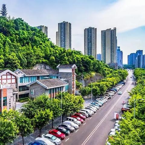 重庆大学怎么样皮肤