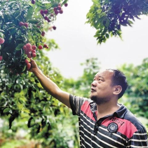 东莞市二手菜铁筐回收店的长尾关键词有什么