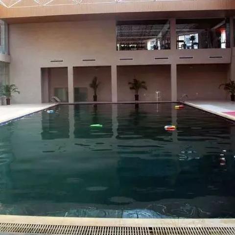 周口市游泳比赛馆地址在哪里