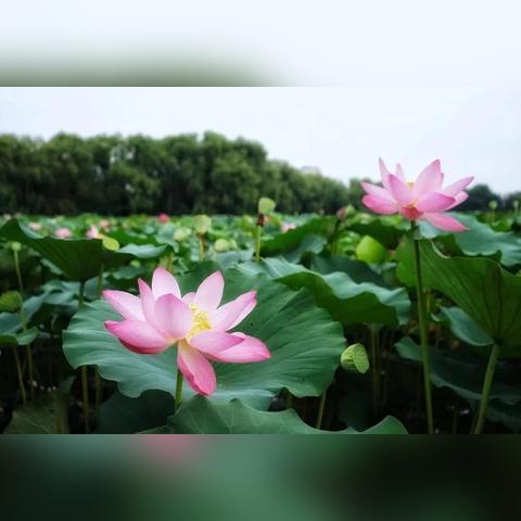 江南韵验证码有什么用？