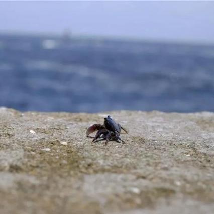 杭州看海的最佳位置？