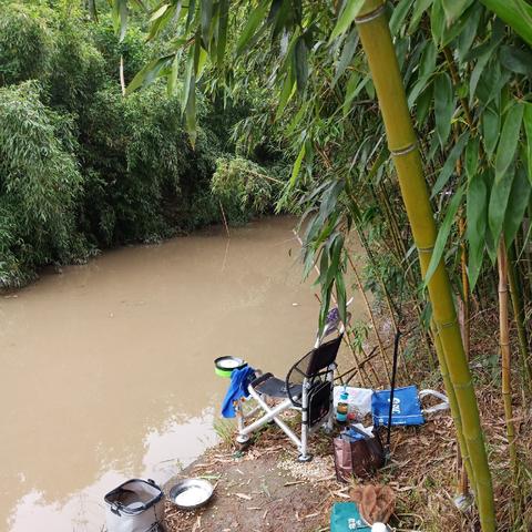 钓鱼指数与什么有关