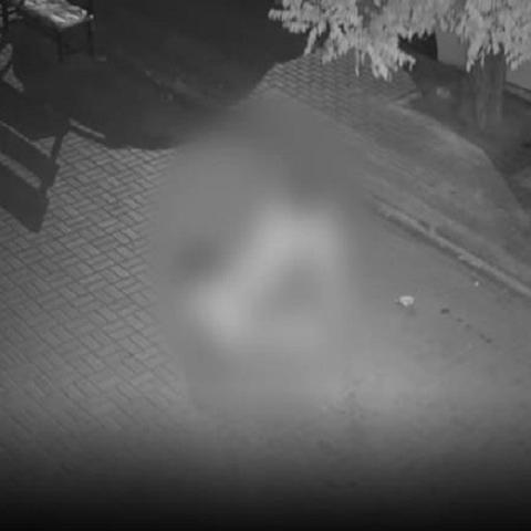 大连排渣费的长尾关键词有什么