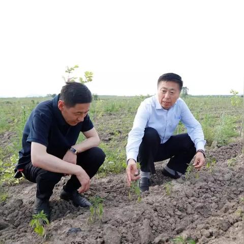 哈尔滨通河县在那里？