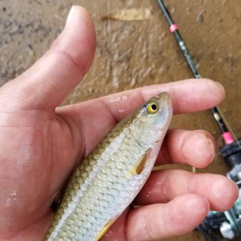 桂林市哪里好钓路亚