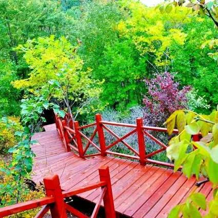 哈尔滨附近有水的地方？