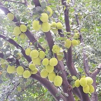 南宁木房屋价格查询的相关长尾关键词有哪些