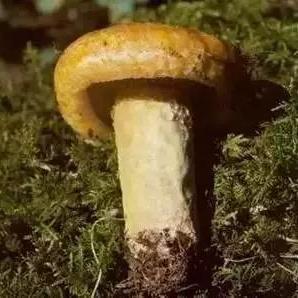 桂林橡胶地板材质的相关长尾关键词有哪些