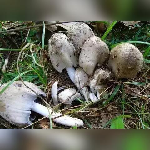 桂林哪里有卖金色墨汁的相关长尾关键词有哪些