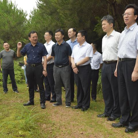 福建省什么企业排第一