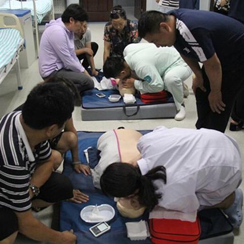 海豹的人工智能怎么用