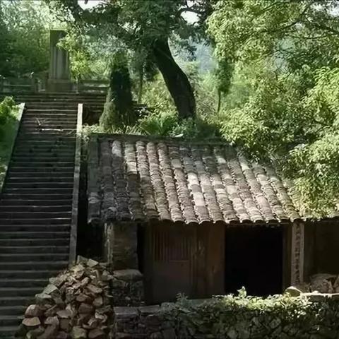 浙江省温州市泰顺县面积的长尾关键词有哪些