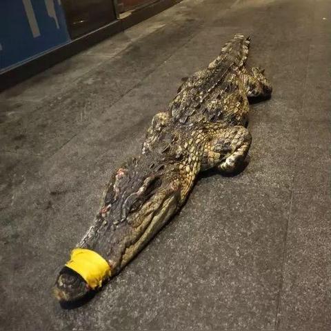 宁波市的灵桥是什么含义