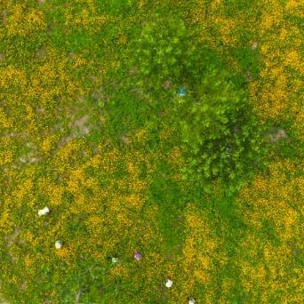 武汉市新中路是哪个区管