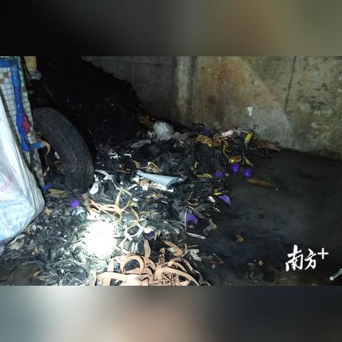 广州市公交车总量是多少
