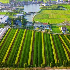 [苏州吴江区成绩]相关长尾关键词有哪些