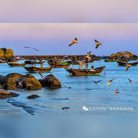 广州钦州市相关长尾关键词有哪些