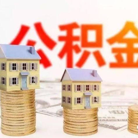 广州市户口可以买什么车