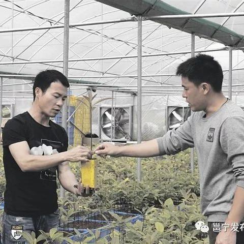 南宁市到蒲庙镇怎么走？