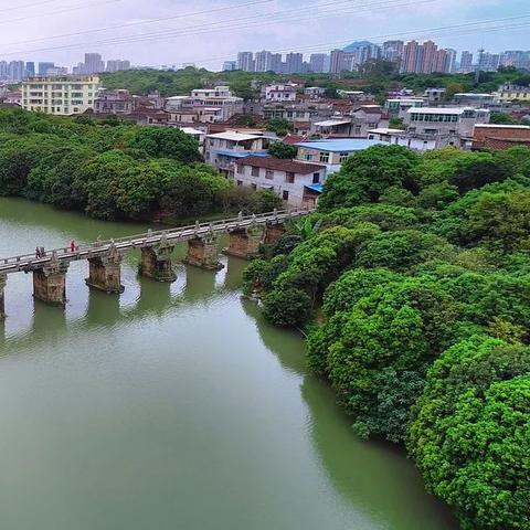 福建哪个县有荔枝