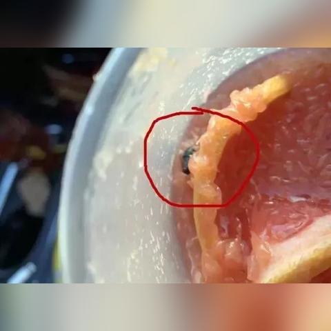 [苏州coco酒吧]相关长尾关键词有哪些