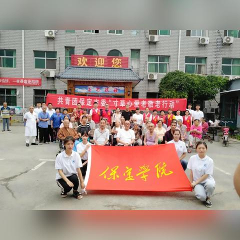 河北保定市老年人比例的长尾关键词有什么