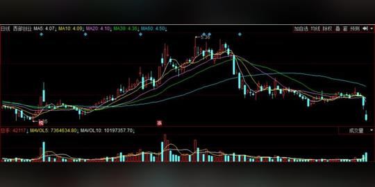曾经的“银广夏”又出事｜子公司被虚开3600张增值税专发票，净资产不够交罚款