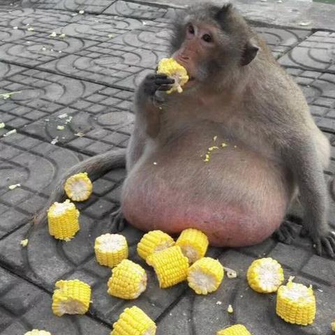 电影爱回家的长尾关键词是什么