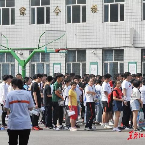 哈尔滨市九区都有哪个区