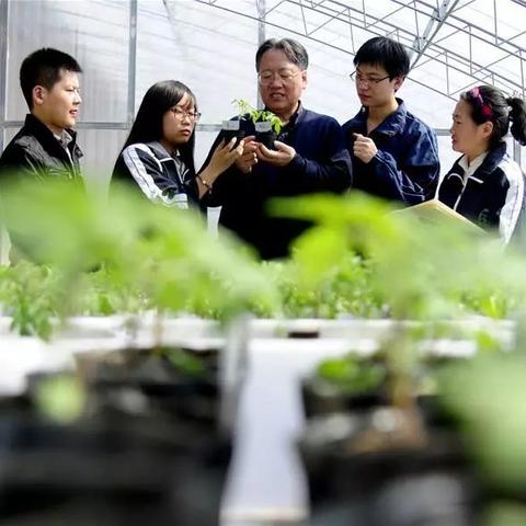 沈阳电蓄热相关长尾关键词有哪些