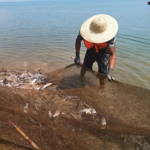 临沂市祊河大桥通车的长尾关键词有什么